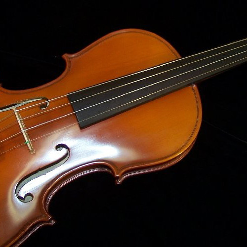 Victor Delgado Violin Model 075 (VL075)
